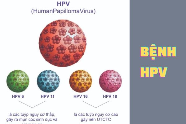 Virus HPV có nhiều loại khác nhau