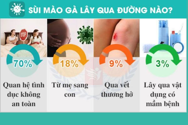 Các con đường lây nhiễm bệnh Condyloma