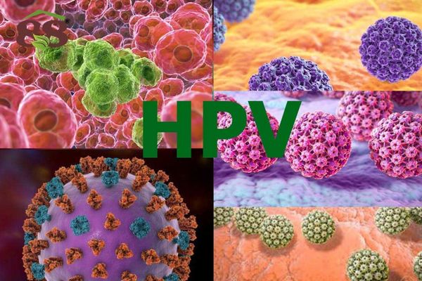 Sùi mào gà do virus HPV xâm nhập và lây nhiễm
