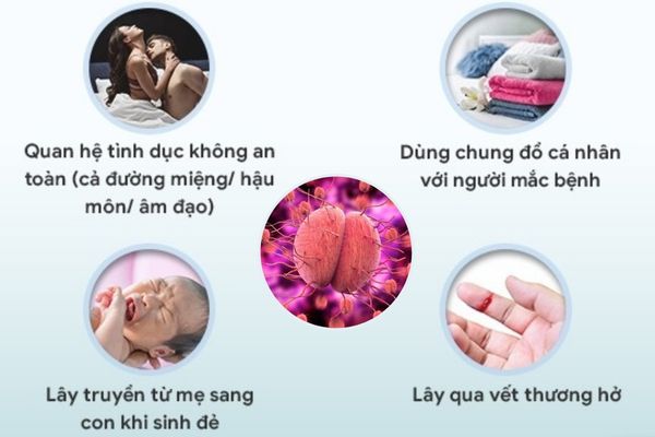 Bệnh lậu lây nhiễm qua nhiều con đường khác nhau