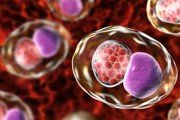 Chlamydia do vi khuẩn Chlamydia Trachomatis gây ra