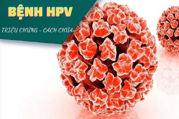Triệu chứng bệnh HPV – Nhận biết sớm điều trị hiệu quả
