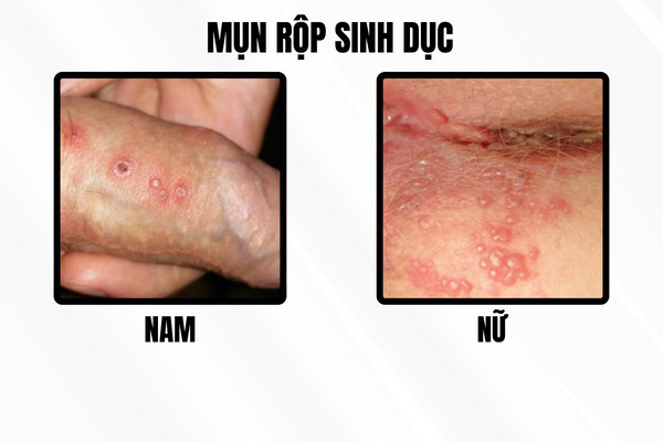 z5312239592974_0794ad6d2210fb2c9309ca9206a462f1