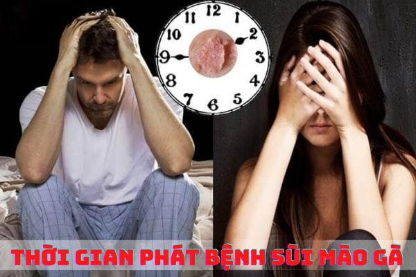 Thời gian phát bệnh sùi mào gà là khi nào?