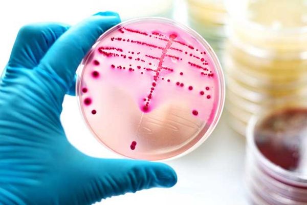 Bệnh lậu – Tiềm ẩn nguy hiểm khôn lường