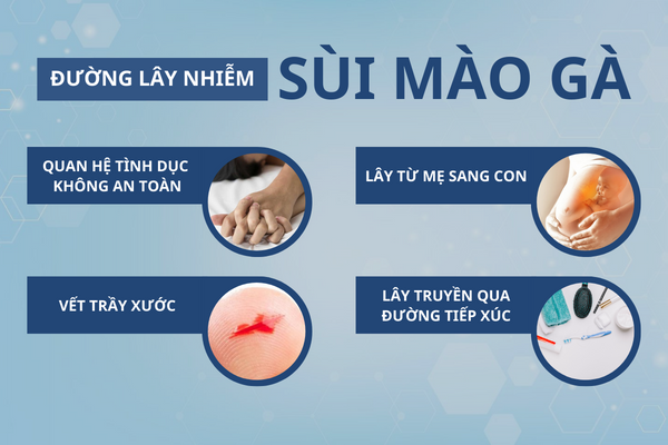 Cac-thong-tin-ve-benh-sui-mao-ga-can-luu-y-2