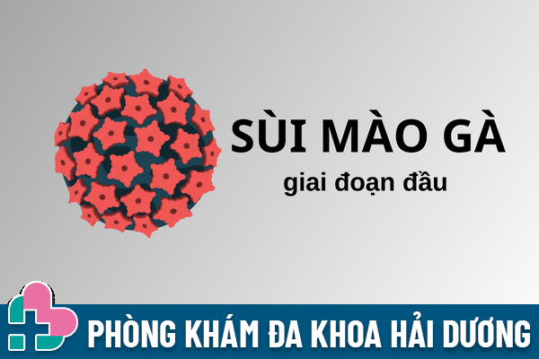 Sùi mào gà giai đoạn đầu – Phát hiện sớm dễ điều trị
