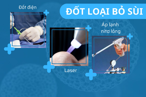 Z5247259773790_35a635b674bb83a1aba96c7c0dcac01c