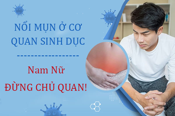Nổi mụn ở cơ quan sinh dục nguyên nhân do đâu? Các khắc phục an toàn hiệu quả